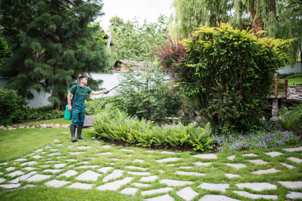 Best Residential Pest Control  in Woodville, OH