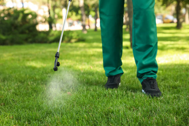 Best Best Pest Control Companies  in Woodville, OH