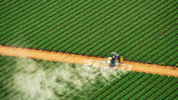 Best Commercial Pest Control Services  in Woodville, OH