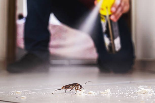 Best Pest Removal Services  in Woodville, OH