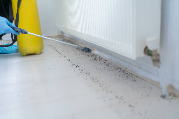 Trusted Woodville, OH Pest Control Experts