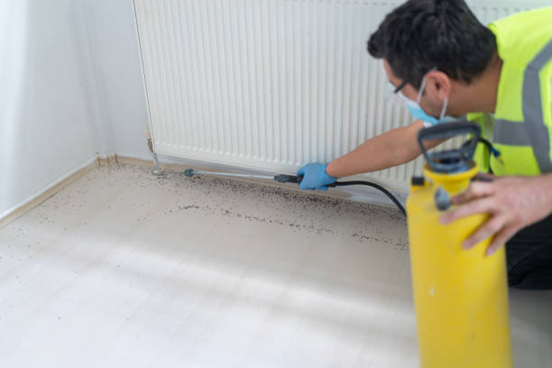 Best Termite Control Services  in Woodville, OH