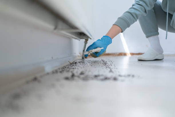 Best Cockroach Control Services  in Woodville, OH